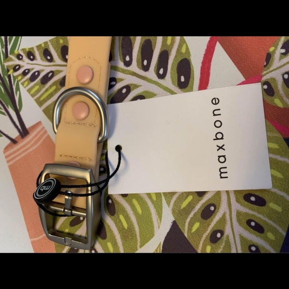 Brand new MAXBONE dog collar! SOLD at SAKS FIFTH AVENUE!! AVAILABLE here! - Picture 3 of 6